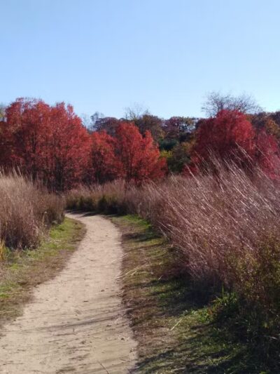 Avalon Parking Spots - St James, NY