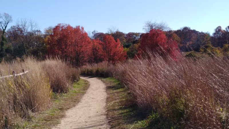 Avalon Parking Spots - St James, NY