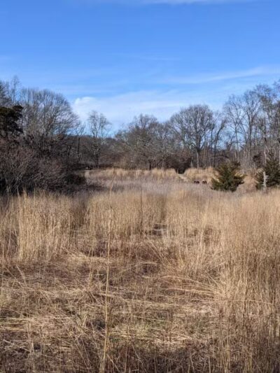 Avalon Parking Spots - St James, NY