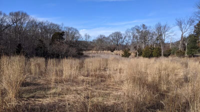Avalon Parking Spots - St James, NY