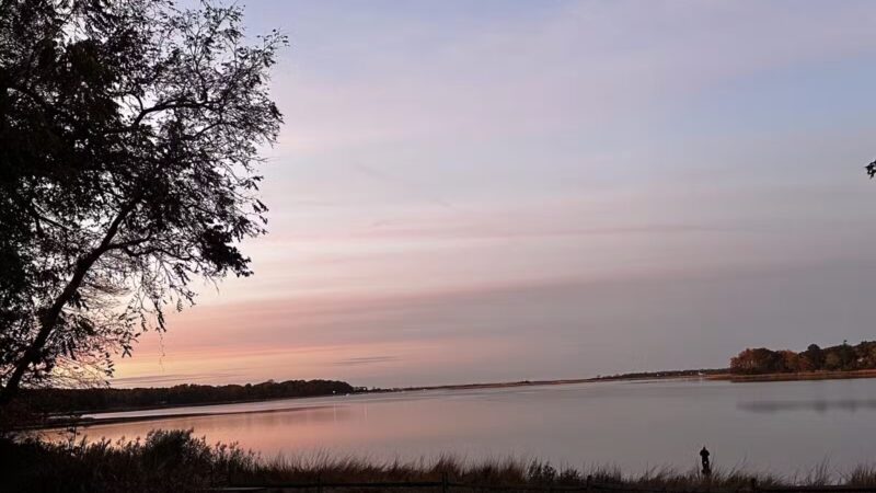 Cordwood Park - St James, NY