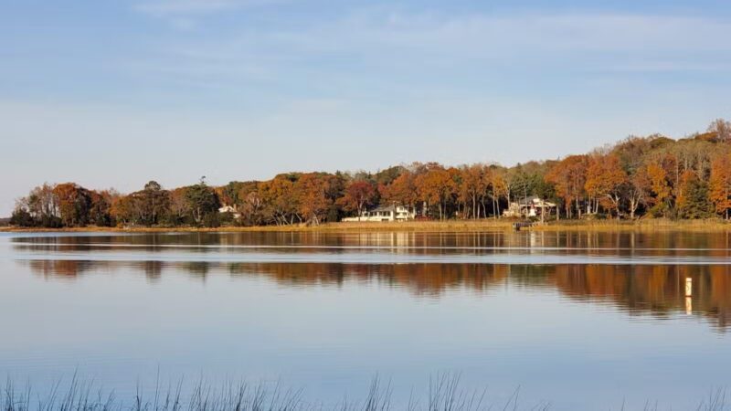 Cordwood Park - St James, NY