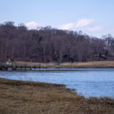 Cordwood Park - St James, NY