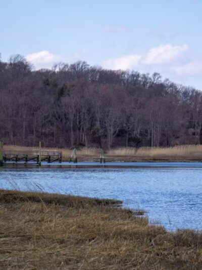 Cordwood Park - St James, NY
