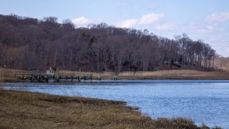 Cordwood Park - St James, NY
