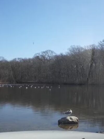Cordwood Park - St James, NY