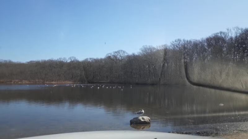 Cordwood Park - St James, NY