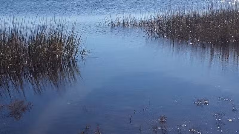 Long Beach Town Park - St James, NY