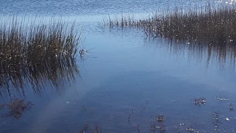 Long Beach Town Park - St James, NY