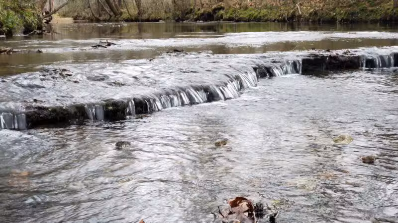 St. Joe Park - St Joseph, TN