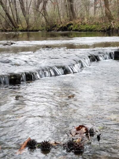 St. Joe Park - St Joseph, TN