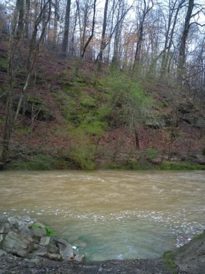 St. Joe Park - St Joseph, TN