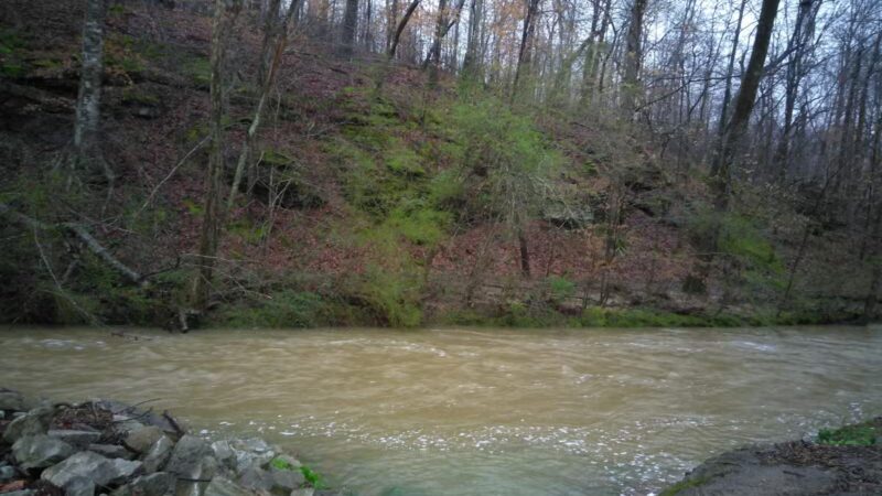 St. Joe Park - St Joseph, TN