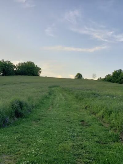 Sugar Hill Trail System - St Paul, VA