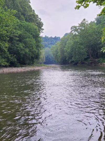 Sugar Hill Trail System - St Paul, VA