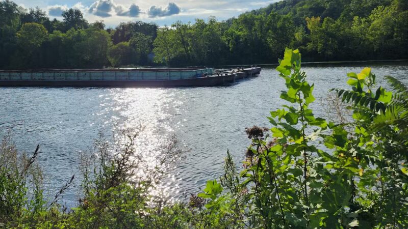 Edith Barill Riverfront Park & Trail - Star City, WV