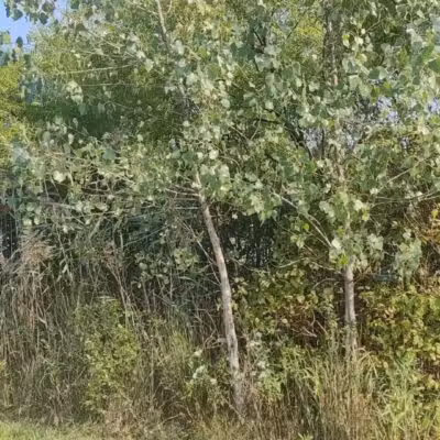 Great Kills Park - Staten Island, NY