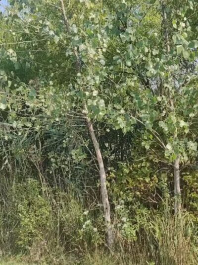 Great Kills Park - Staten Island, NY