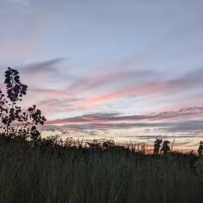 Great Kills Park - Staten Island, NY