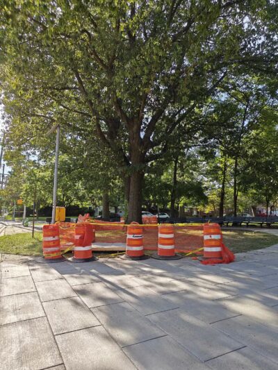 Clove's Tail - Staten Island, NY