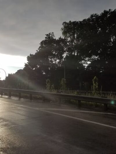 Clove's Tail - Staten Island, NY