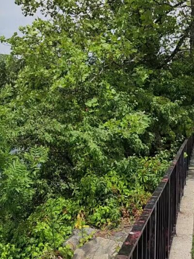 Silver Lake Park - Staten Island, NY