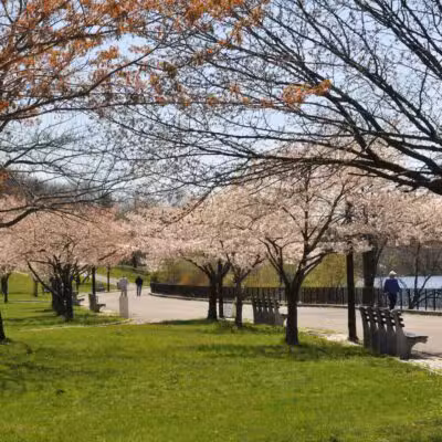 Silver Lake Park - Staten Island, NY