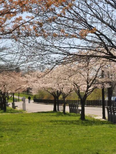 Silver Lake Park - Staten Island, NY