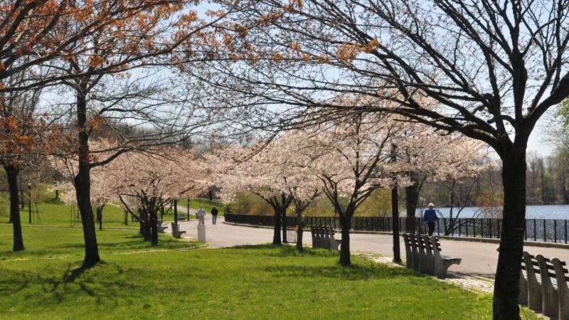 Silver Lake Park - Staten Island, NY