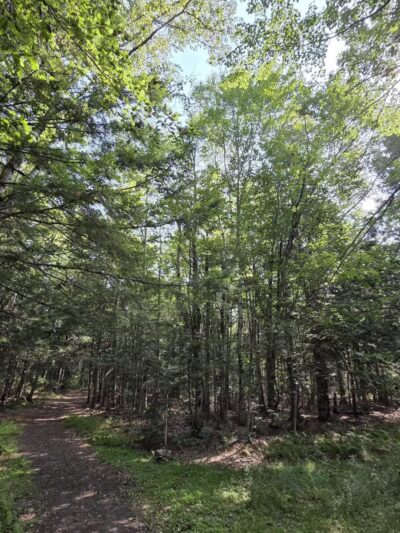 Pleasant Lake Preserve - Stetson, ME