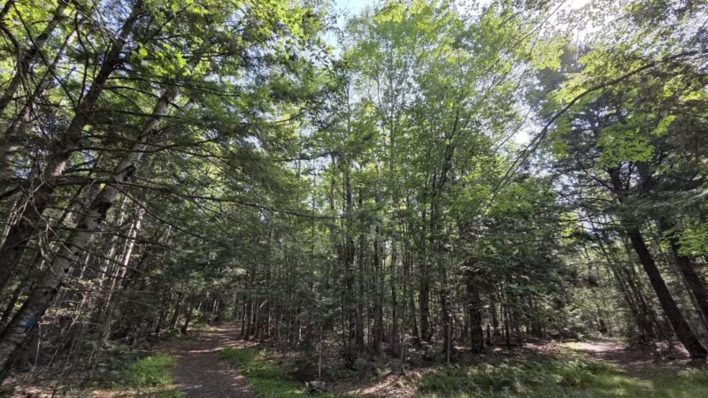 Pleasant Lake Preserve - Stetson, ME