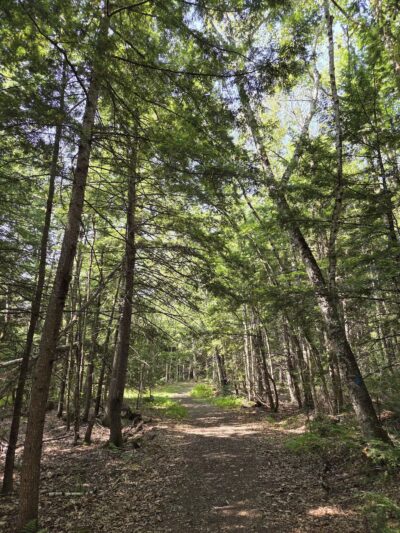 Pleasant Lake Preserve - Stetson, ME