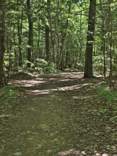Pleasant Lake Preserve - Stetson, ME