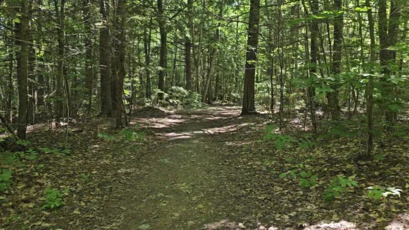 Pleasant Lake Preserve - Stetson, ME