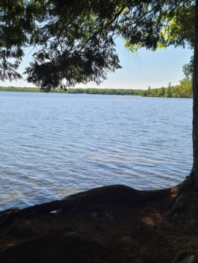 Pleasant Lake Preserve - Stetson, ME