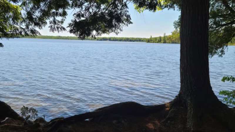 Pleasant Lake Preserve - Stetson, ME