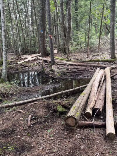 Pleasant Lake Preserve - Stetson, ME