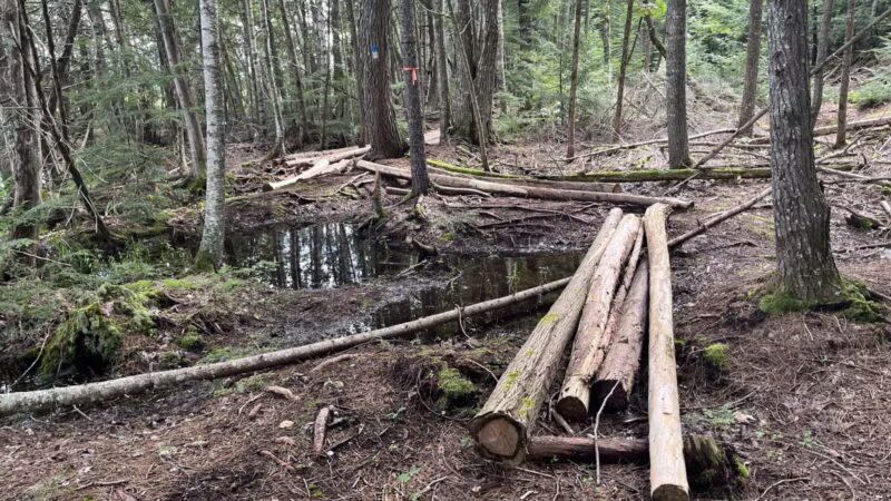Pleasant Lake Preserve - Stetson, ME