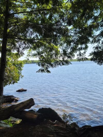 Pleasant Lake Preserve - Stetson, ME