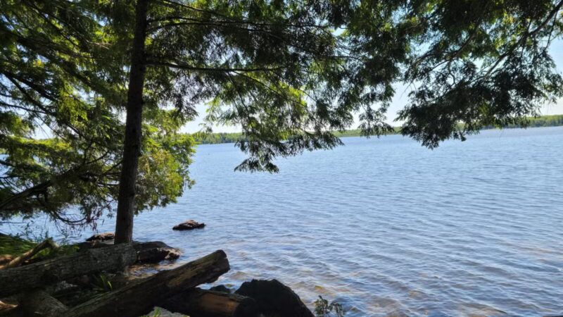 Pleasant Lake Preserve - Stetson, ME
