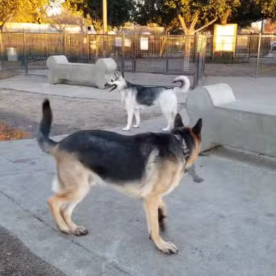Barkleyville Dog Park - Stockton, CA