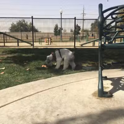 Barkleyville Dog Park - Stockton, CA
