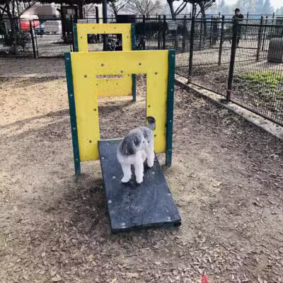 Barkleyville Dog Park - Stockton, CA