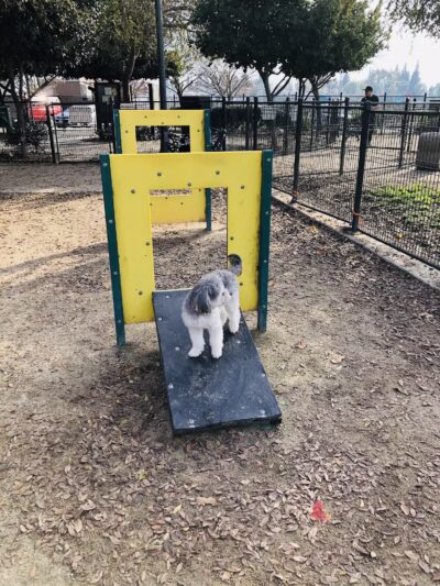 Barkleyville Dog Park - Stockton, CA