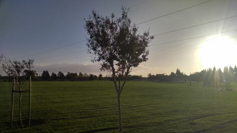 Michael Faklis Park - Stockton, CA