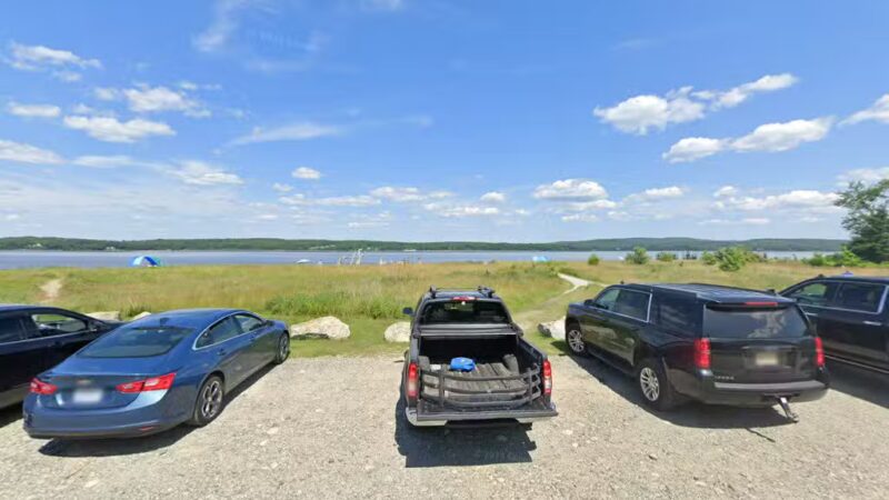 Dog Library - Stockton Springs, ME