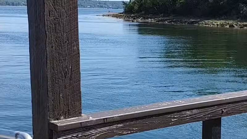 Fort Point State Park - Stockton Springs, ME