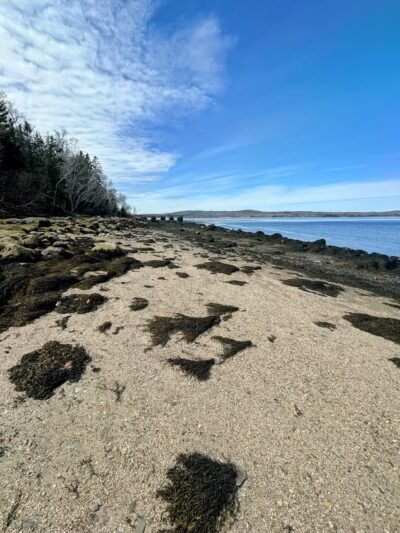 Fort Point State Park - Stockton Springs, ME