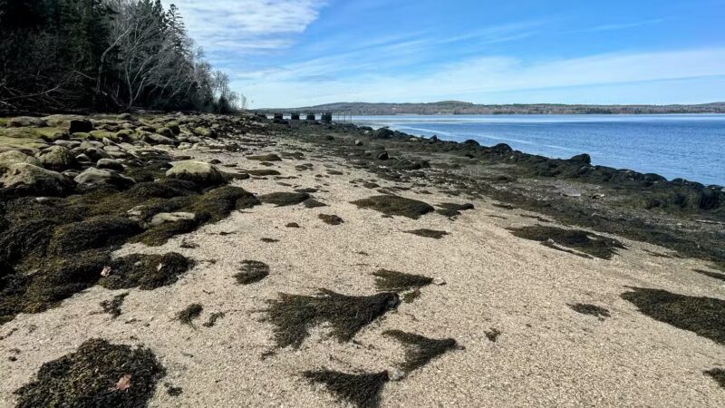 Fort Point State Park - Stockton Springs, ME