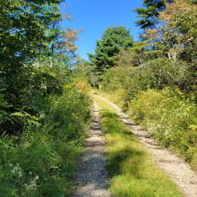 Mt.Tuck Trail & Preserve - Stockton Springs, ME